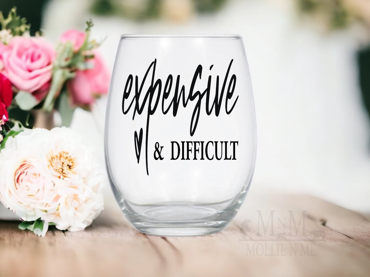 Expensive And Difficult – Stemless Wine Glass, Sarcastic Gift for Her, Wine Lover Present