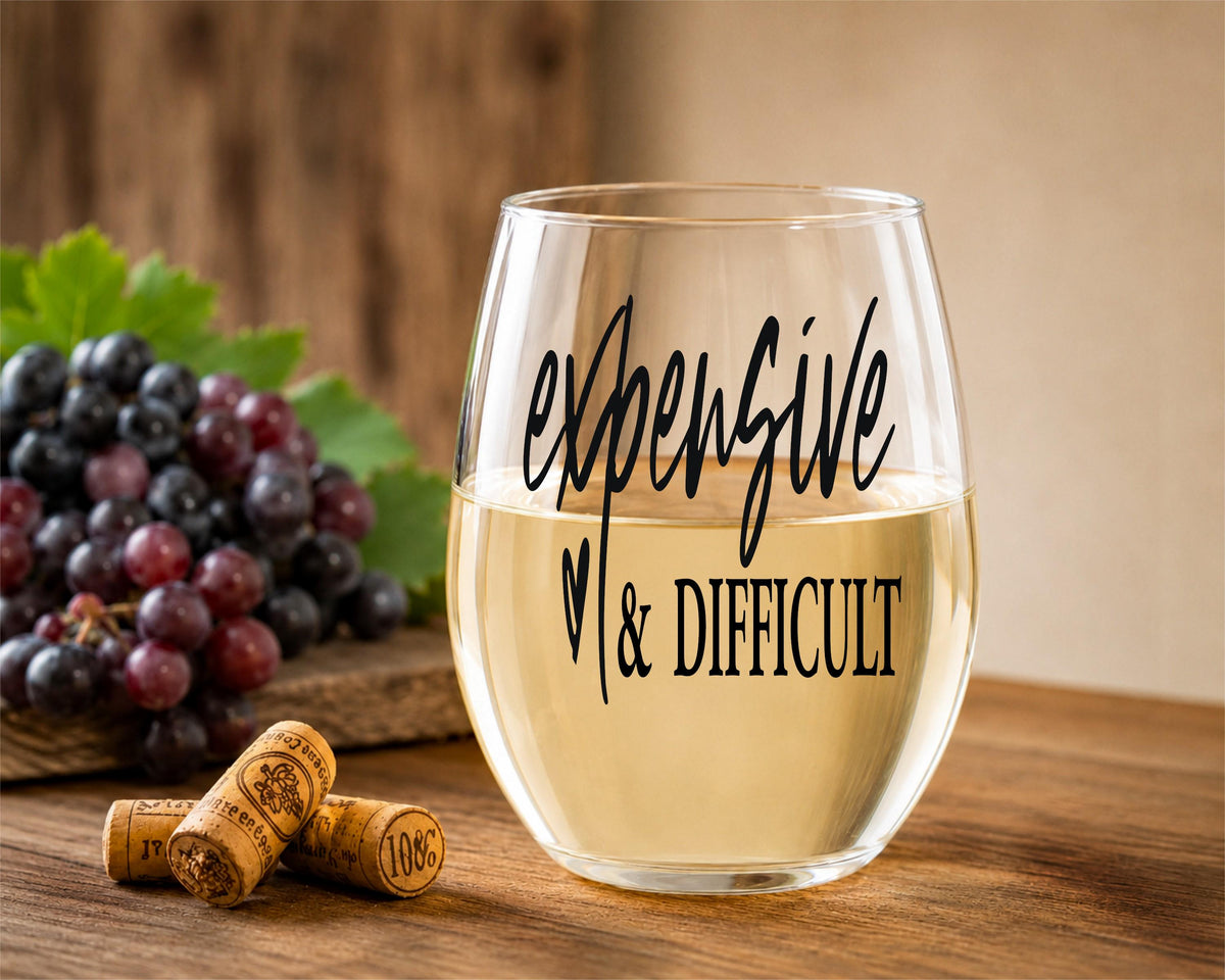 Expensive And Difficult – Stemless Wine Glass, Sarcastic Gift for Her, Wine Lover Present